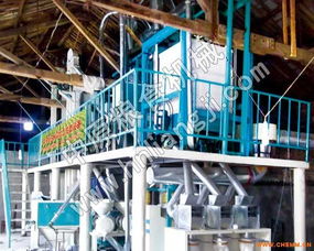 糧食生產線 糧食加工成套設備 糧食加工機組 糧食精加工