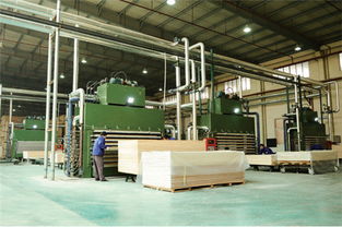 從 有沒有 到 好不好 ,大王椰板材為中國品質獻力