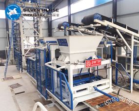 大型免燒磚設備制品用優點代替了特點