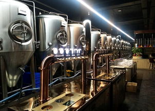 釀啤酒設(shè)備報(bào)價(jià) 廠家