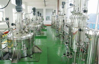 2019上海生物發(fā)酵展 帶你走進工業(yè)生產中實踐