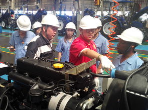 中國農(nóng)業(yè)大學(xué)新聞網(wǎng) 學(xué)校要聞 驕陽下的農(nóng)大人 圖文